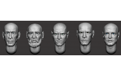 ARM356141 Bald heads (set 30)