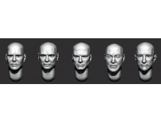 ARM356151 Bald heads (set 32)