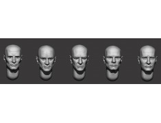 ARM356160 Bald heads (set 35)