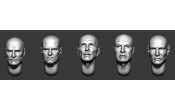 ARM356163 Bald heads (set 36)