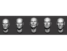 ARM356163 Bald heads (set 36)
