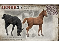 ARM35-014(3D) Foals