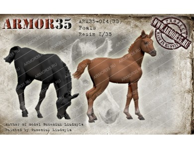 ARM35-014(3D) Foals