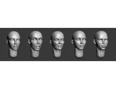 ARM356028 Bald female heads (set1)